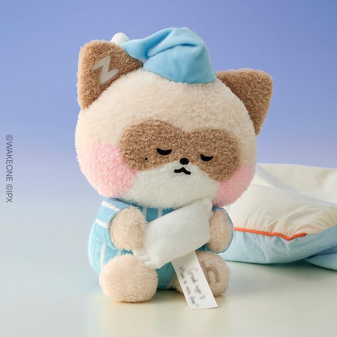 ZB1 Zhang Hao Zhanghao Hanini Line Friends Zeroni Sinsa Message