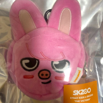 Stray Kids X Skzoo The Victory Face Mini Pouch DWAEKKI Pop Up