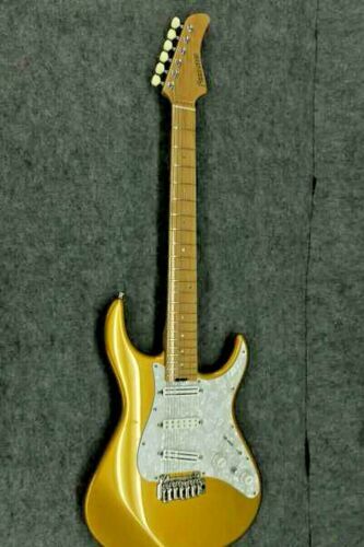 Fernandes APG-100 Electric Guitar Professional Series | eBay