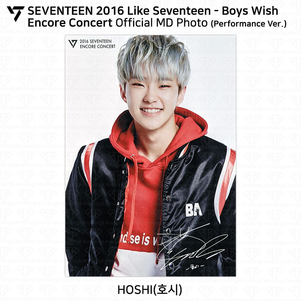 SEVENTEEN 2016 Like Seventeen Boys Wish Encore Concert Official MD