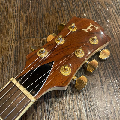 MIJ Fernandes MG-80X Hide Signature Electric Guitar | eBay