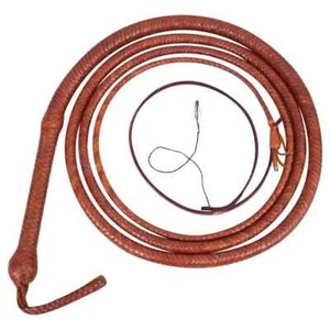 Australian Bull Whip | eBay
