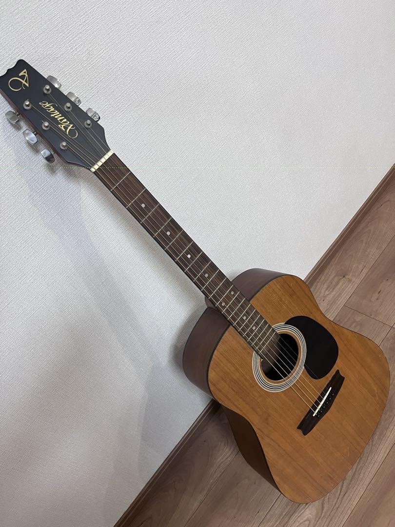 Acoustic Guitar Vantage VIS-1 Mahogany Natural | eBay
