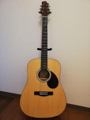Acoustic Guitar Greg Bennett Design D-310 Natural Good Condition