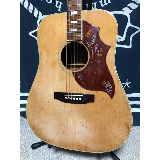 ケ*ジ様 ☆タカミネ・ハミングバード！エリート・カスタム HM-25 超