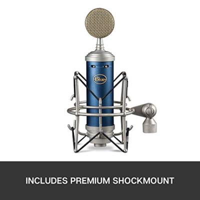 レア 完動 BlueMicrophones BlueBird レア 完動 BlueMicrophones
