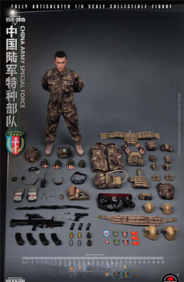 Soldier Story SS119 Chinese Army Special Forces Falcon 2015 1/6