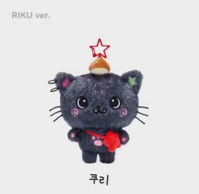 NCT Wish riku Kuri Doll NCT Wish Riku KURI DOLL | eBay