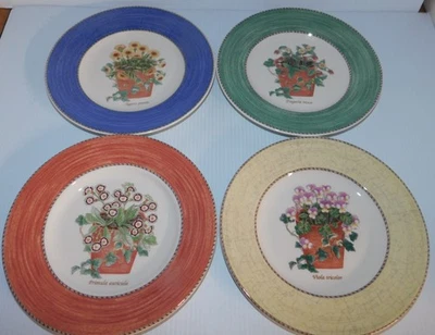 Sarah S Garden for sale | eBay