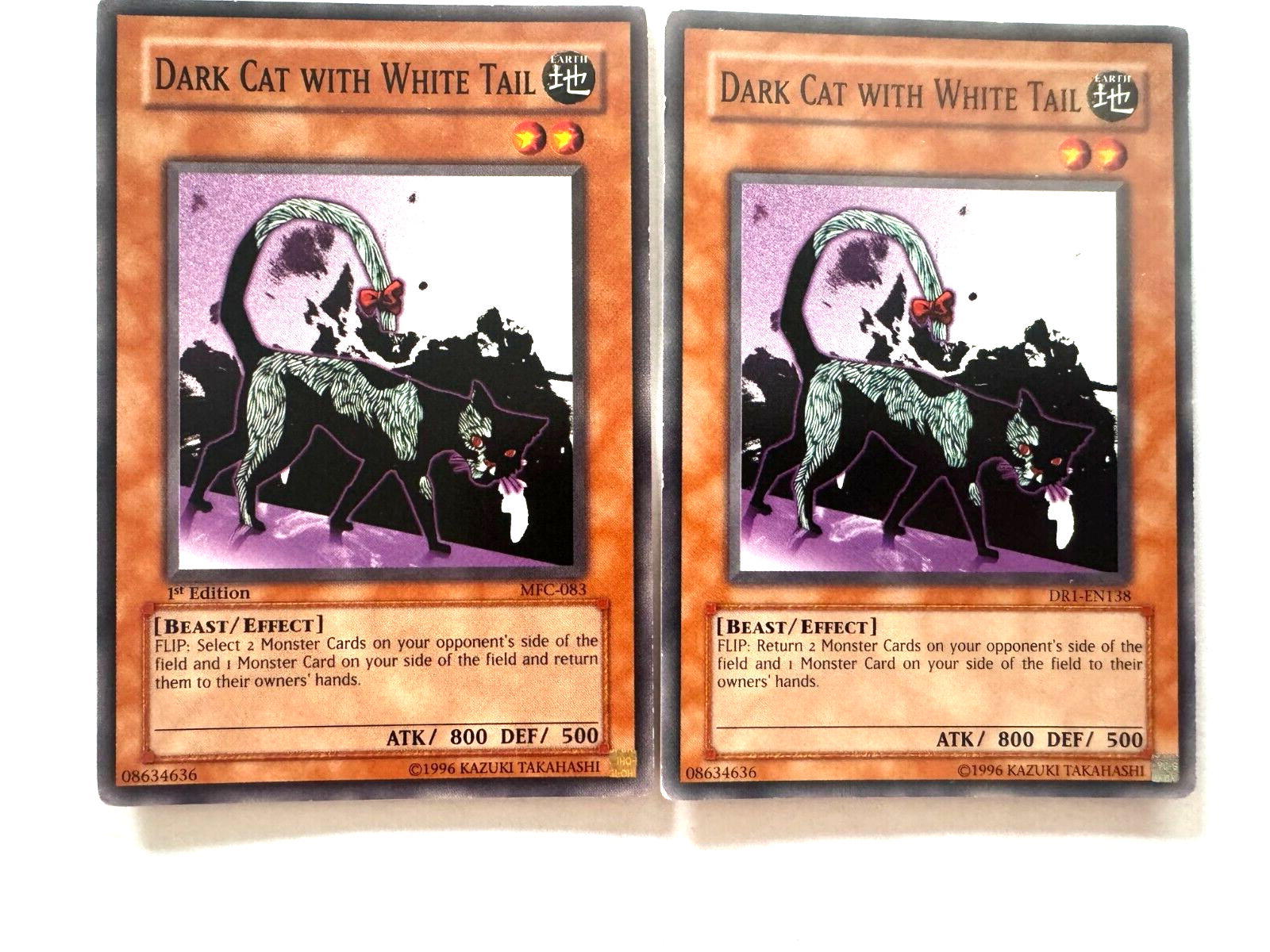 Dark Cat with White Tail - MFC-083 / DR1-EN138 - Common - MP