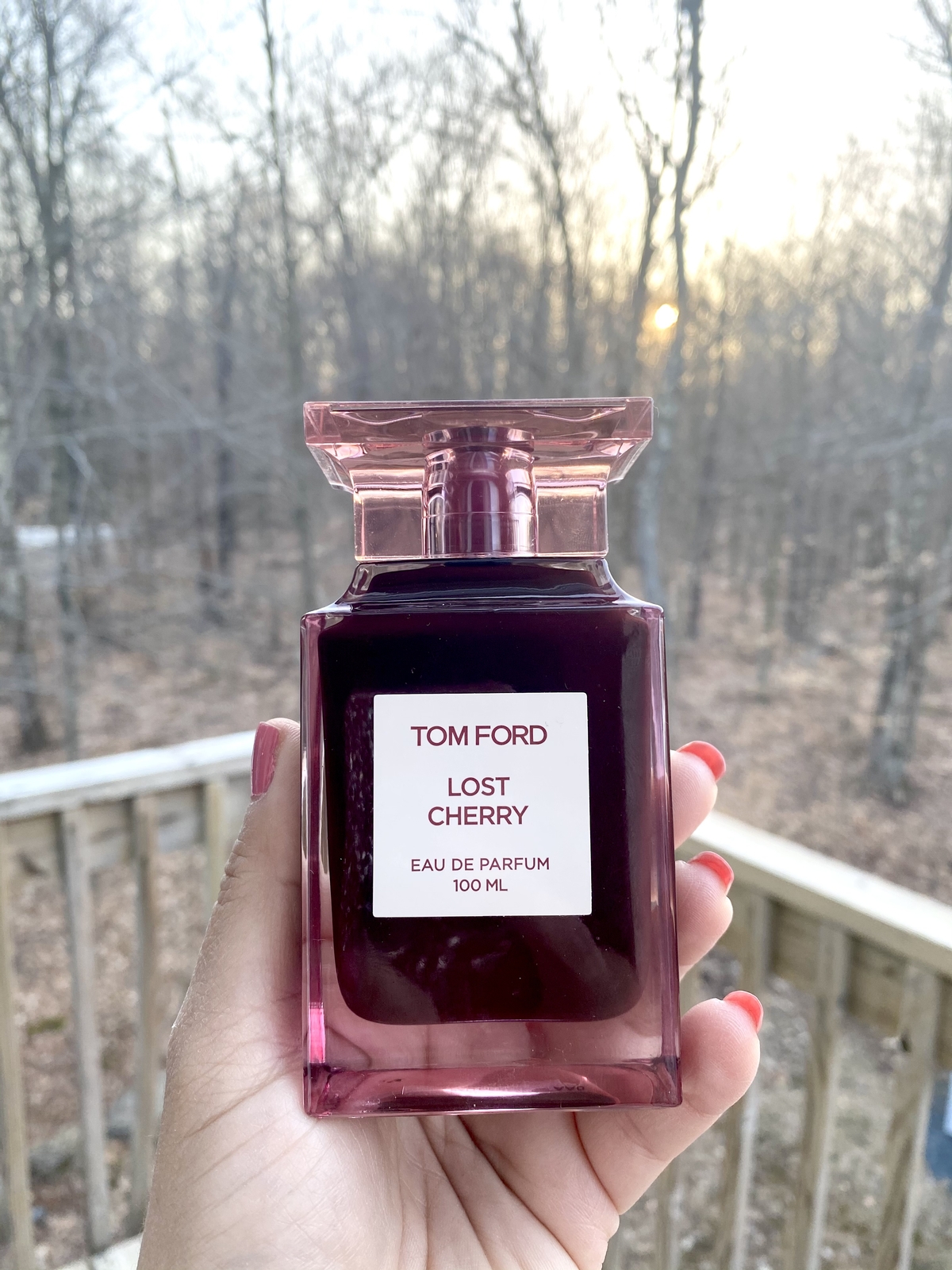 TOM FORD Lost Cherry 100 ml / 3.4 oz EDP Spray NIB Sealed RV $500