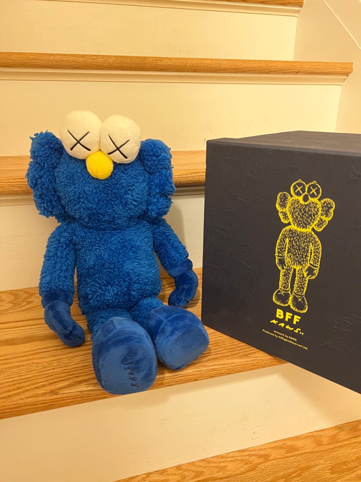 KAWS BFF 20