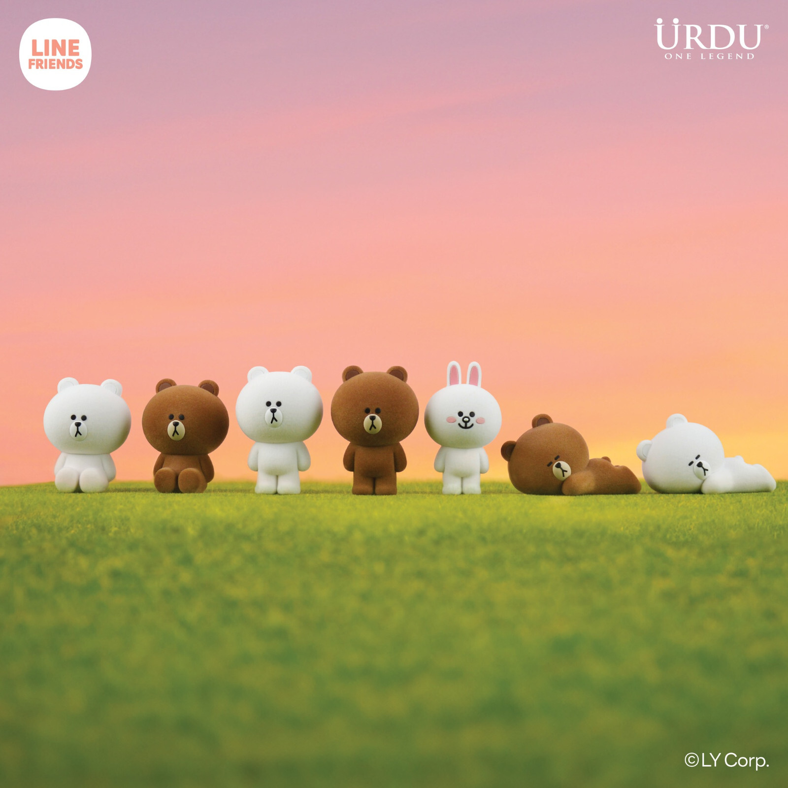 Line Friends Meet URDU Flocking Series Brown Set Of 6 Pcs w