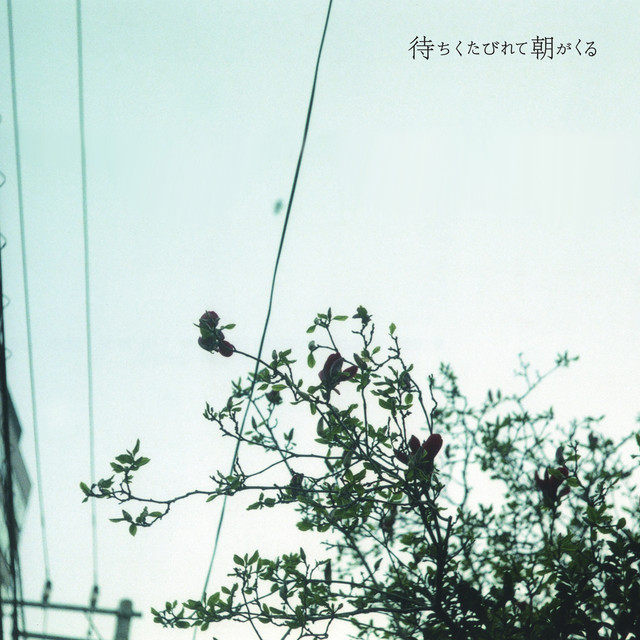 待ちくたびれて朝がくる ‑「アルバム」by クリープハイプ | Spotify