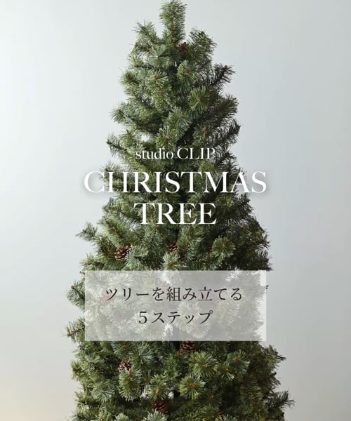 ツリー 150cm[CHRISTMAS 2024] | [公式]スタディオクリップ（studio