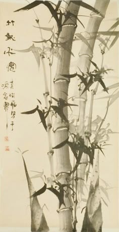 竹」のアイデア 88 件 | 竹, 水墨画, 墨絵