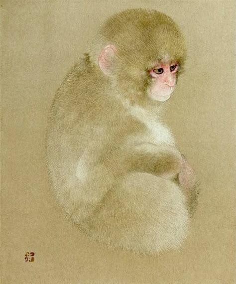 猿」のアイデア 31 件 | 日本画, 動物, 猿