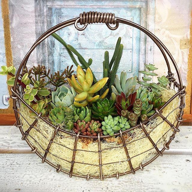 ワイヤーアートで作る多肉植物アレンジメント