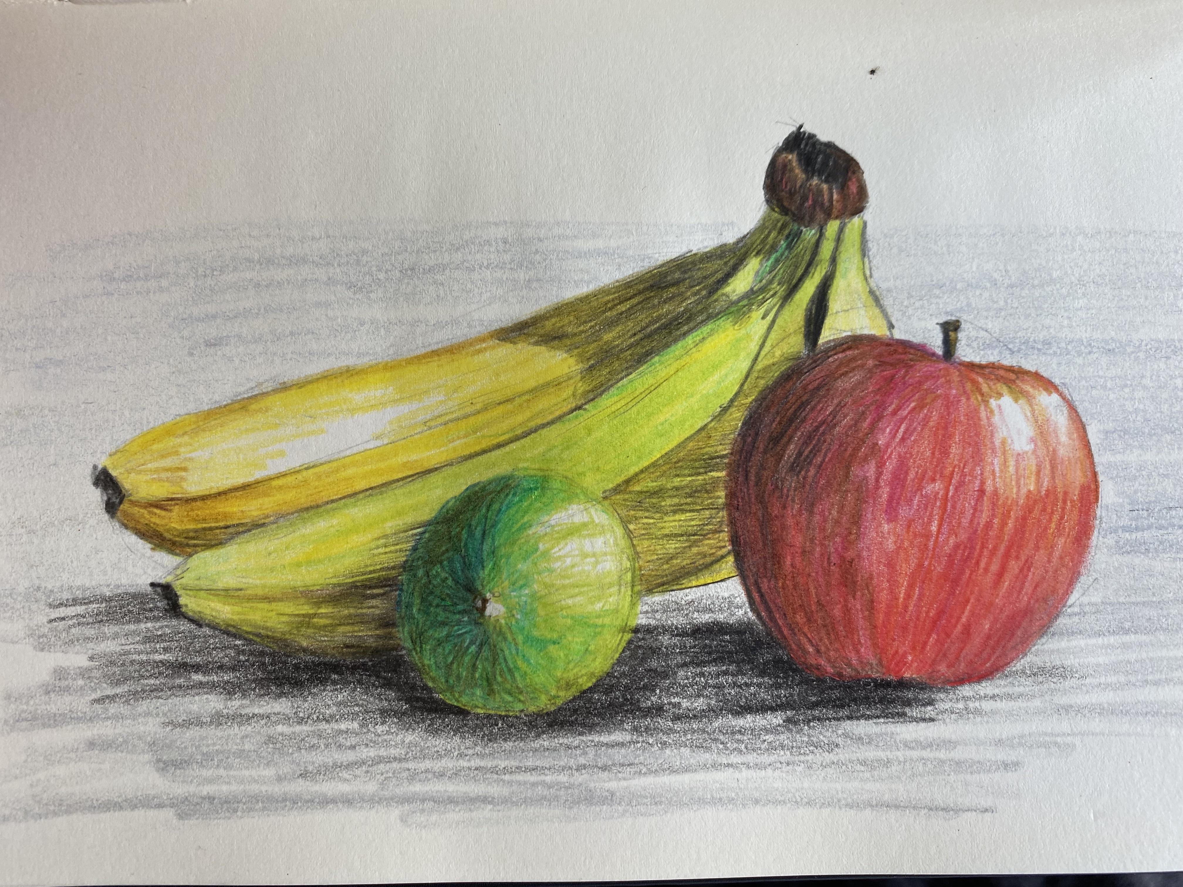 色鉛筆を使った静物画、フィードバックをもらえて嬉しい : r/learnart