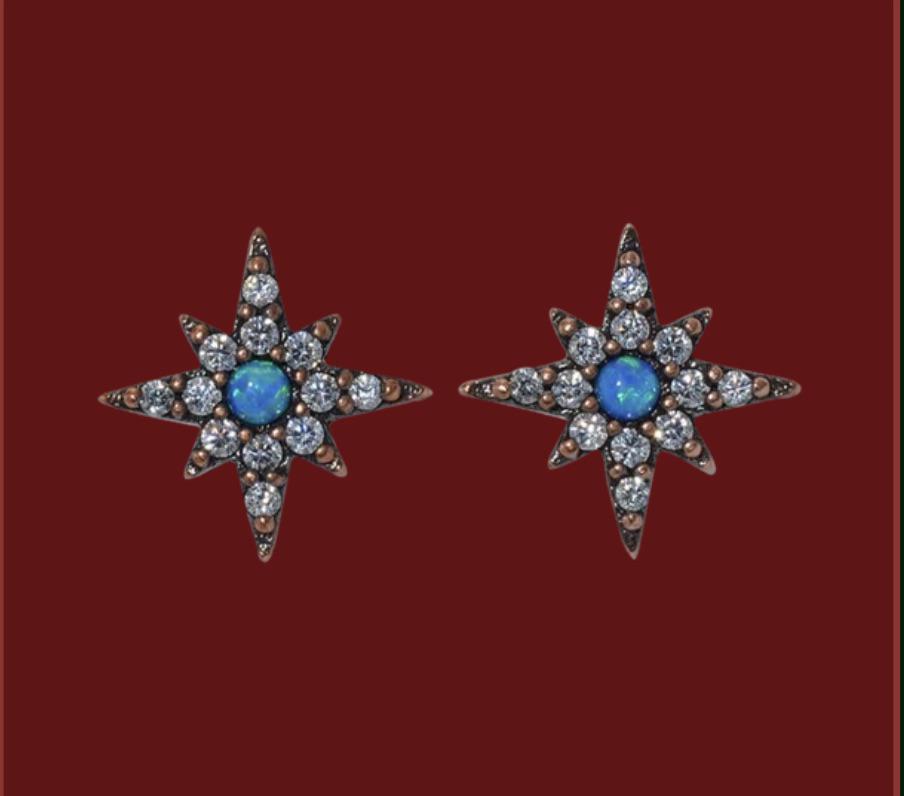 Can anyone tell me about the opal eyes earrings? After 19 years I