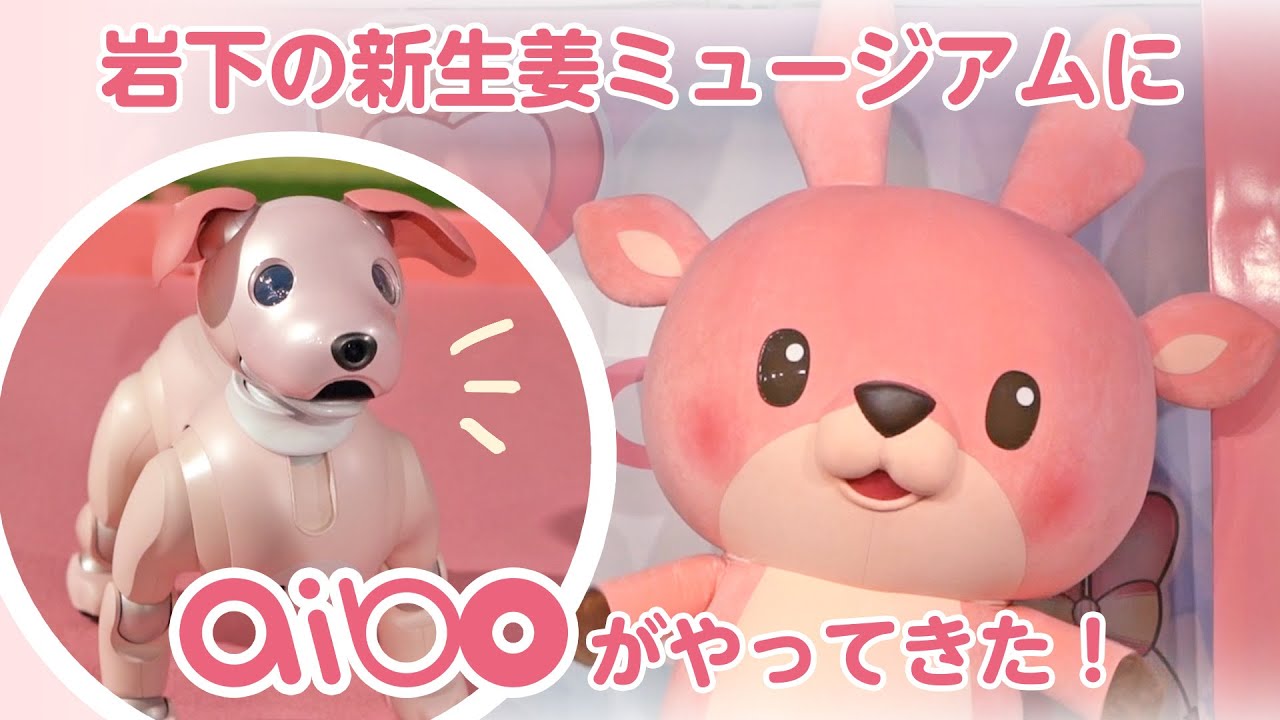 岩下の新生姜×aibo】ピンクのaibo「シンちゃん」が4月27日から岩下の新