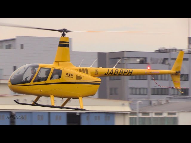 東京へリポート遊覧】黄色い Robinson R66 Turbine JA88PH - YouTube