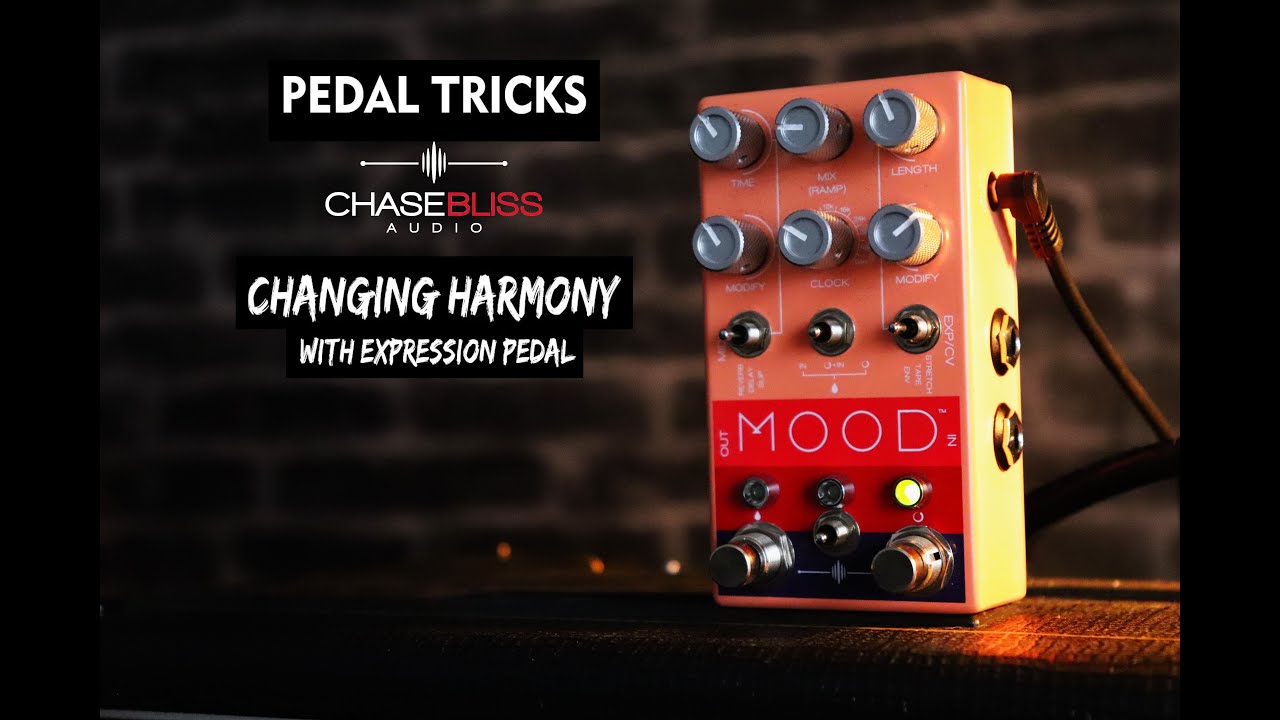 Chase Bliss Audio MOOD MkII | Delicious Audio