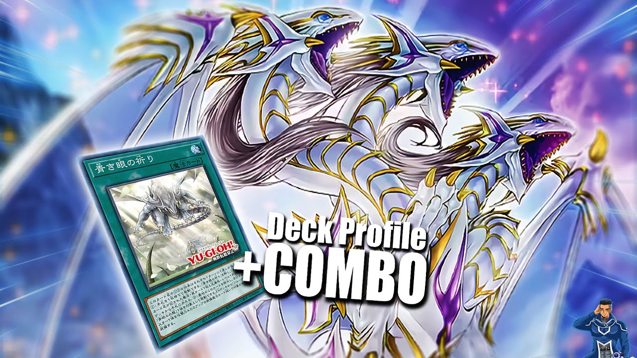 Yu Gi Oh! NEW Blue-Eyes White Dragon Deck Profile + COMBOS 2024