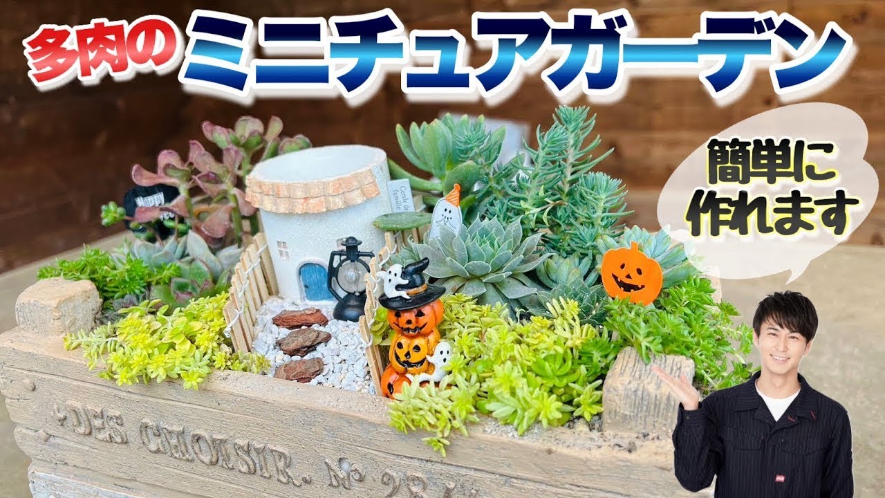 着せ替えて楽しむ！】多肉植物のミニチュアガーデンを作ります