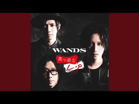 時の扉 ～WANDS 第5期 ver.～ - YouTube