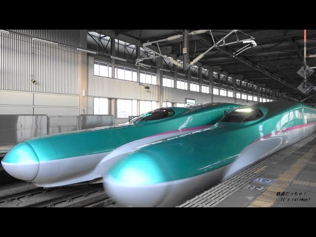 東北新幹線 迫力の高速通過映像集 水沢江刺駅 E5・H5・E6近距離疾走