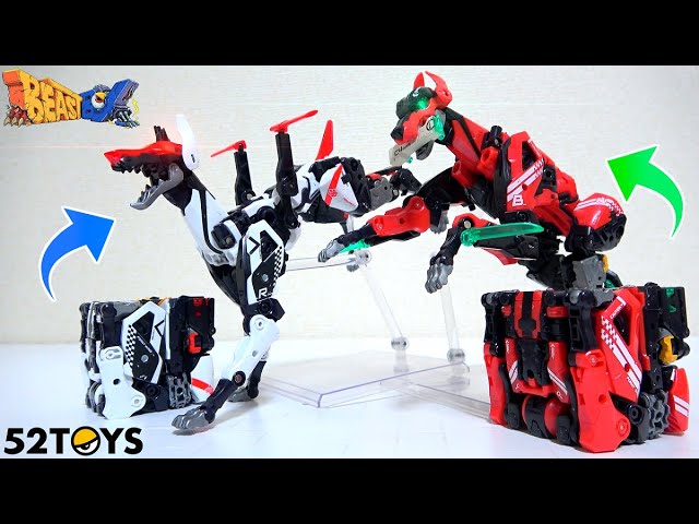 🐕 transformed into a Doberman! ] Beast Box 