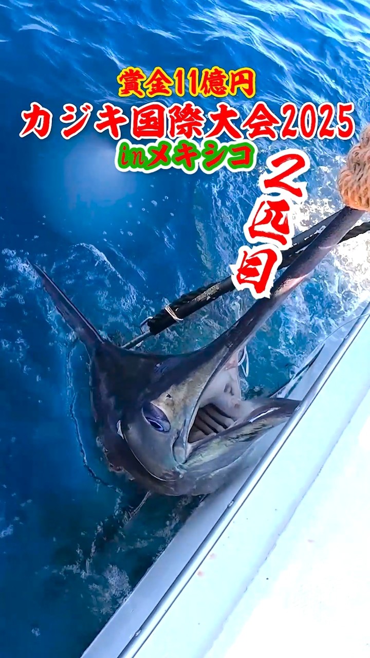 Daimajin 2nd Catch Part 3] 2025 Mexican Marlin Fishing Tournament