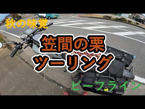 MIYABI - YouTube