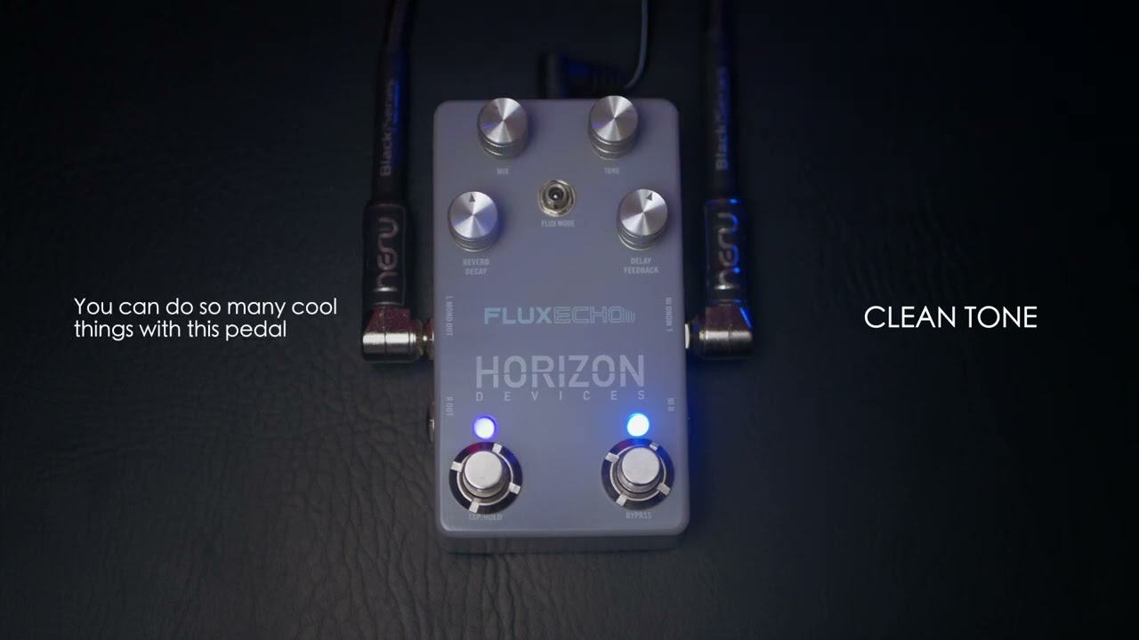 PEDAL DEMO | Horizon Devices - Flux Echo - YouTube