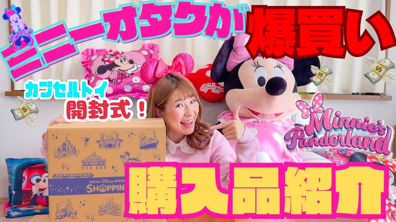購入品紹介】ミニーのグッズを爆買いしてしまいました。〈ディズニー