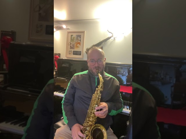 Kawai Alto Saxophone made by B&S Germany demo - 2ND WINDS