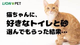 ニオイをとる砂 カラーチェンジタイプ 5L｜ライオンペット株式会社