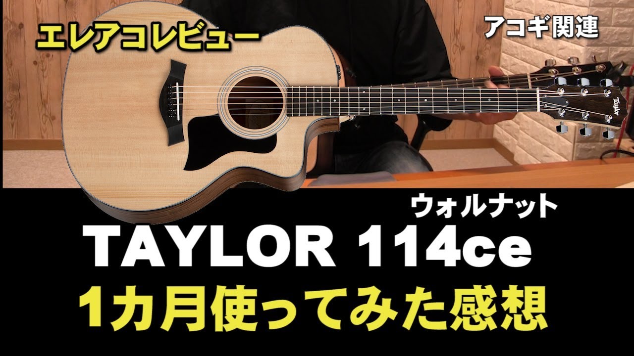 Taylor 114ce 1か月使った感想 Taylor エレアコ ウォルナット ES2