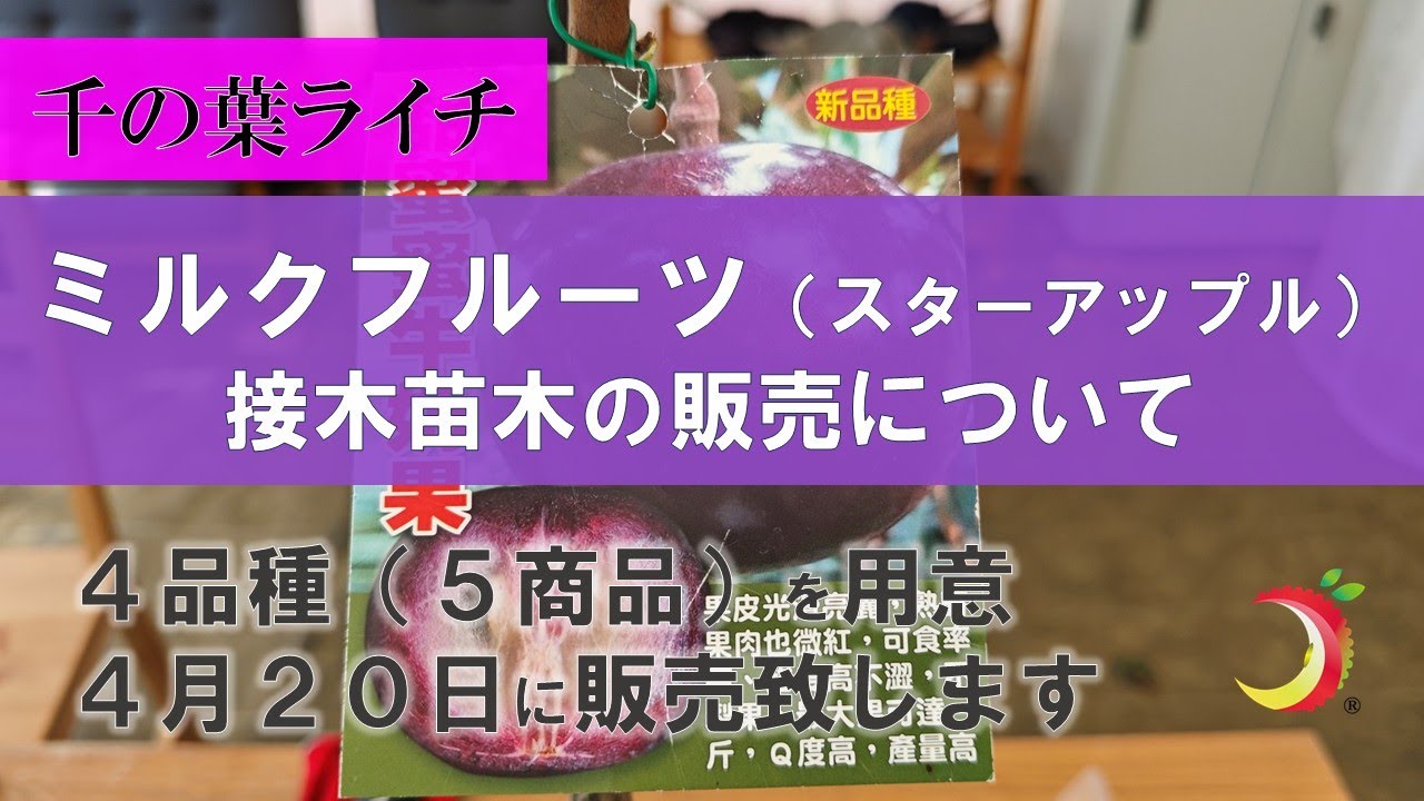 hq720.jpg?sqp=-