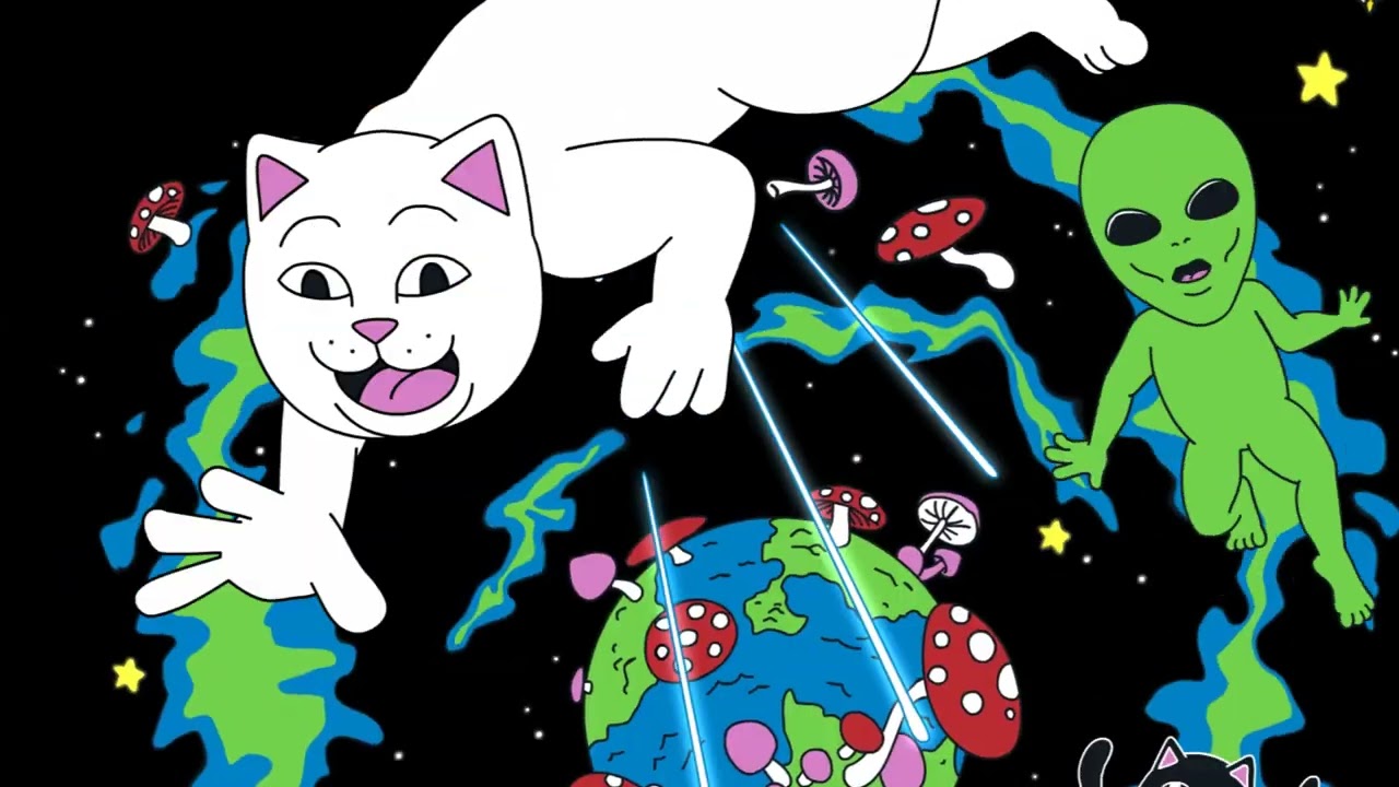 RipNDip Ceramic Planter for Sale Online in Canada