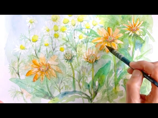 水彩画]ジャーマンカモミールとエキナセアの花を水彩ガッシュで描く