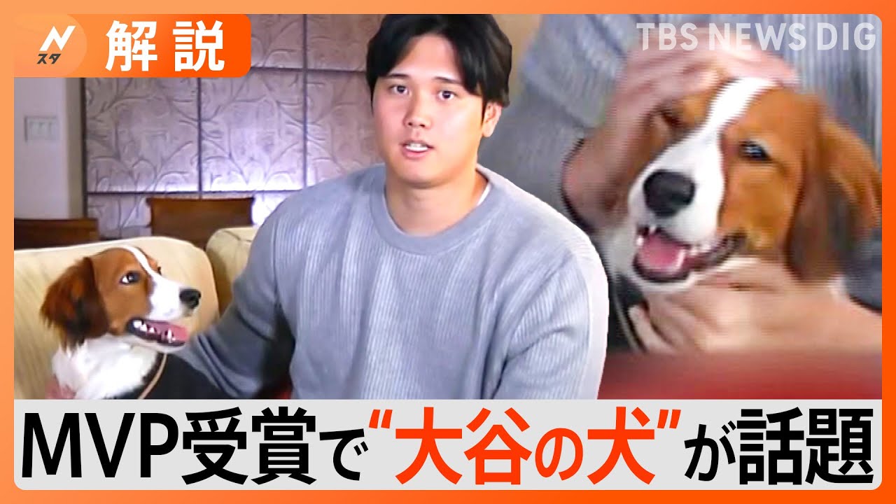 大谷さんの犬かわいすぎ」犬種はコーイケルホンディエ、いつから一緒