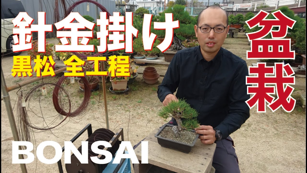 I will show you the wire hook of black pine from the beginning to