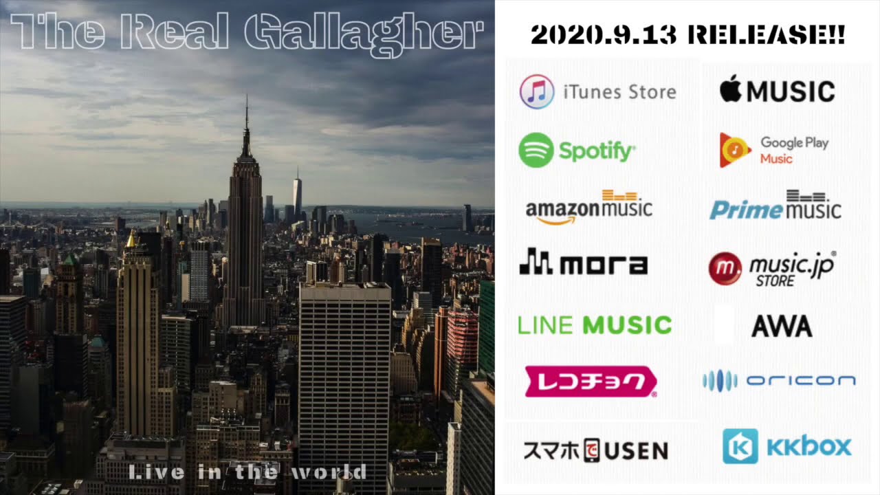 おすすめエフェクター ボード 2(接続順など）VEMURAM Jan Ray・FREE