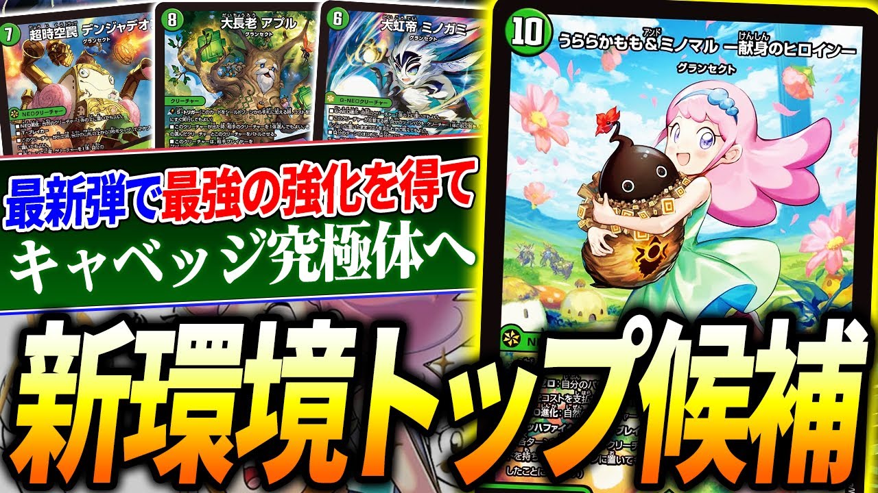 Introducing the extremely popular deck 