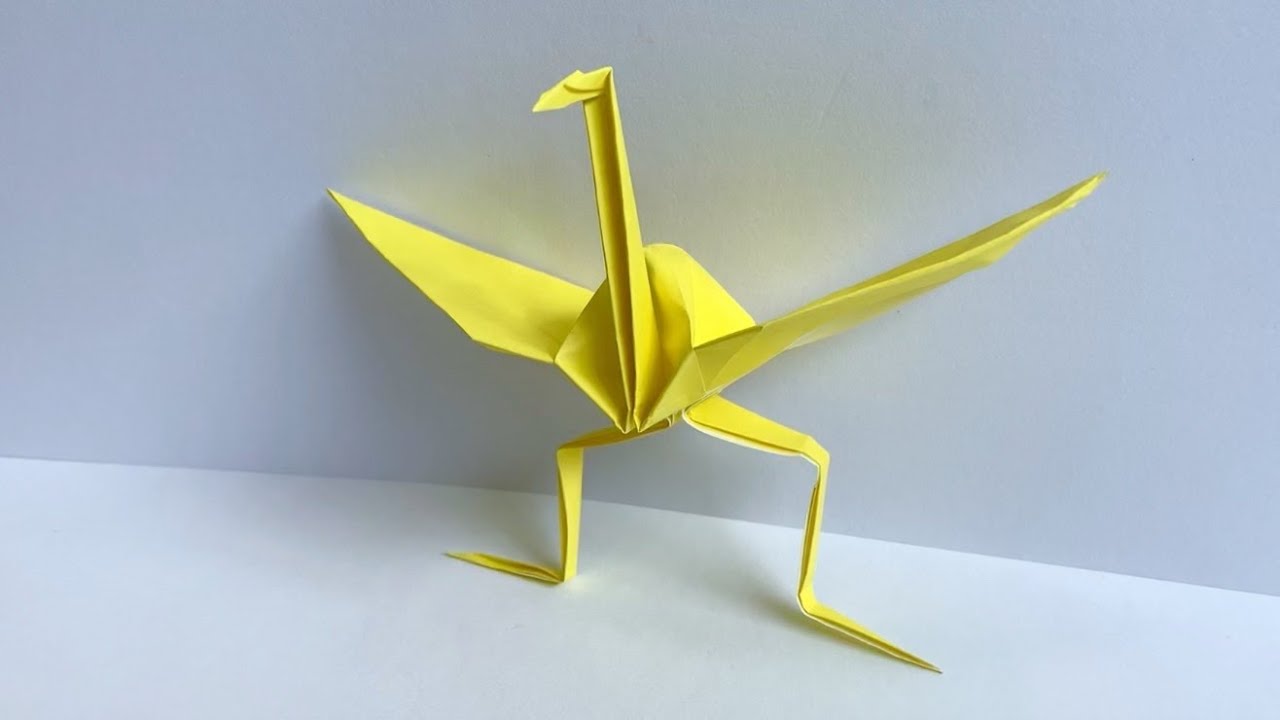 How to fold and make origami 