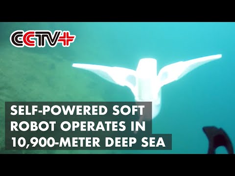 Chinese-developed Self Powered Soft Robot Operates in 10,900-meter