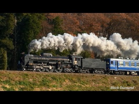 鉄道サボ】（表）水戸⇔常陸大子 SL奥久慈号 指定席（裏）C58