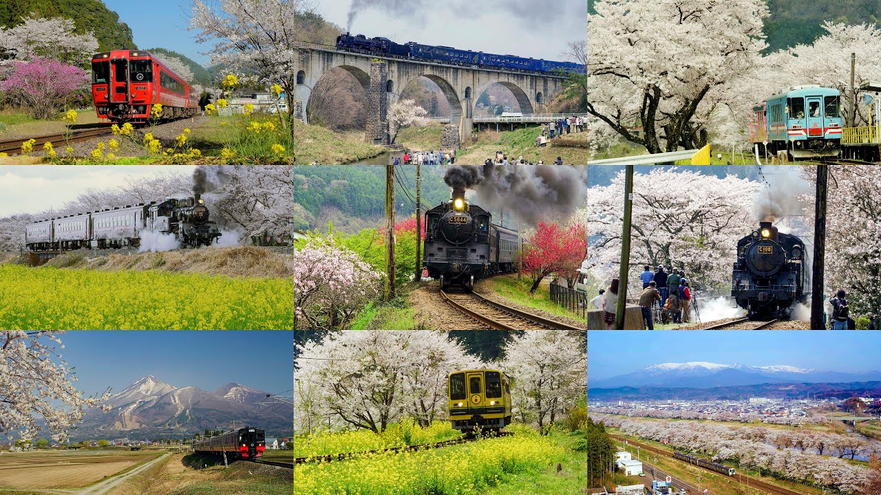 4K] 春になったら見に行きたい。桜と列車の鉄道絶景めぐり A